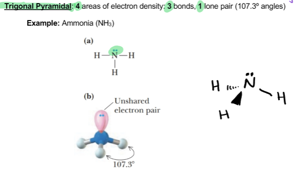 <p>4 areas of electron density: 3 bonds, 1 lone pair</p>