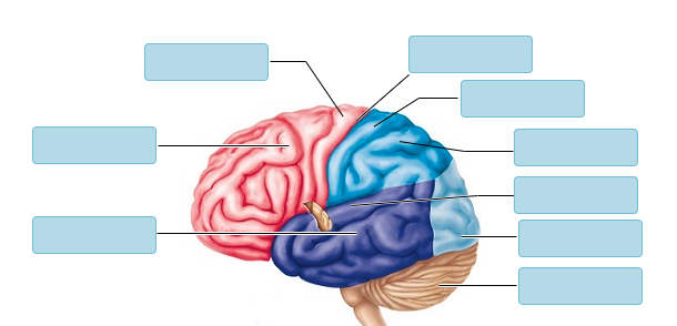 <p>Match the following: </p>