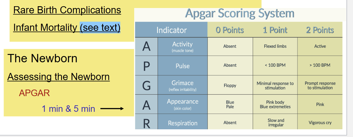 <p>APGAR </p>