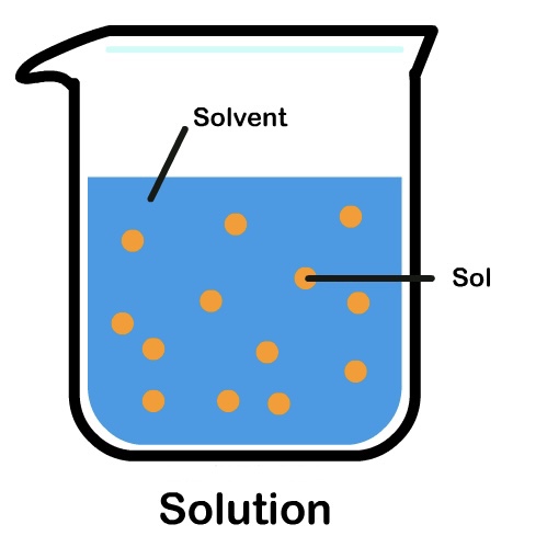 <p>A liquid, which is the bigger part, and does the dissolving.</p>