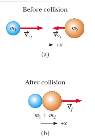 <ul><li><p>objects stick together</p></li><li><p>include all velocity directions and move with a common velocity after the collision</p></li><li><p>the “after” collision combines the masses</p></li><li><p>conservation of momentum becomes:</p><ul><li><p>m<sub>1</sub>v<sub>1i</sub> + m<sub>2</sub>v<sub>2i</sub> = (m<sub>1</sub>+ m<sub>2</sub>)v<sub>f</sub></p></li></ul></li></ul><p></p>