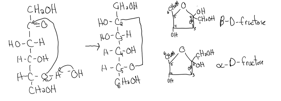 <p>ketone + alcohol → furanose ring </p>