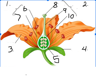 <p>What is number 5</p>