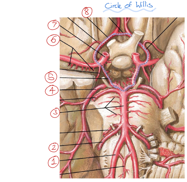 <p>Label this diagram</p>