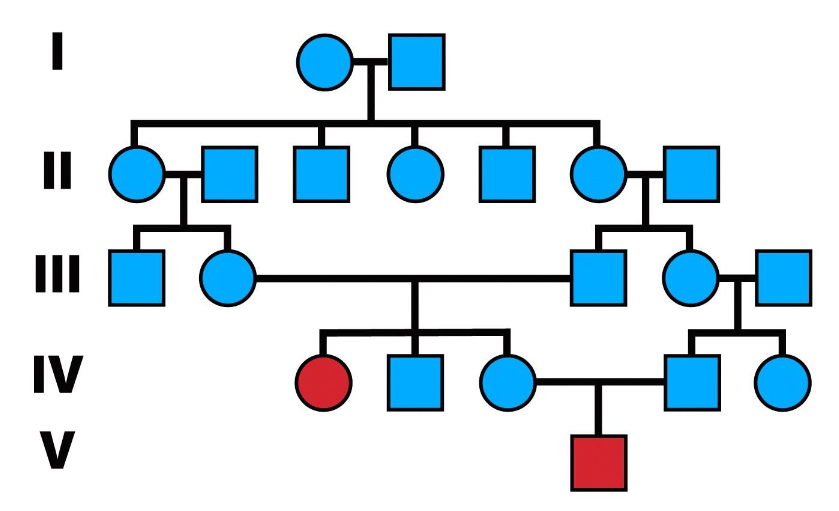 <p>A recessive phenotype</p>
