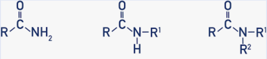 <p>carboxylic acid where OH is replaced by amine group N—2(R/H)</p>