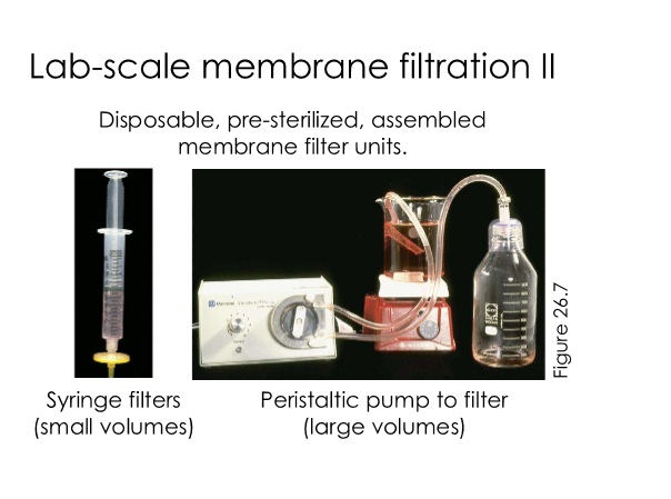 <p>Syringe filters for small volumes, peristatic pump to filter large volumes</p>