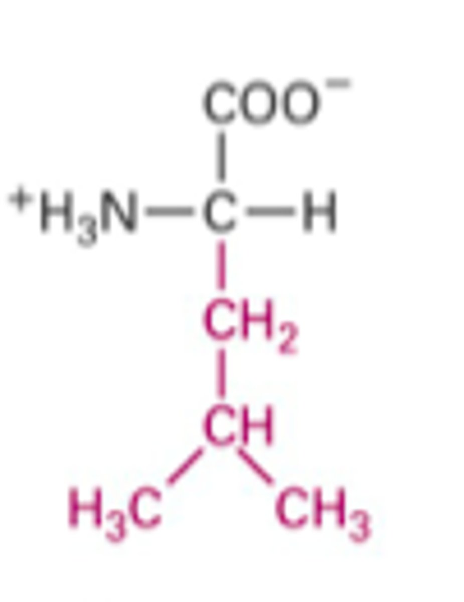 <p>What Structure is this?</p>
