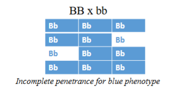 <p>Penetrance = probability of a genotype/trait being expressed </p><p>Incomplete = phenotype only expressed in a fraction (%) of the population with the genotype</p>
