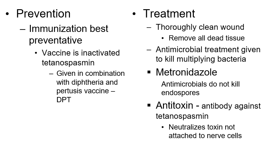 <ul><li><p>found in dirt/dust and GI tract of humans and other animals</p></li><li><p>nearly half of infections result from puncture wounds including</p><ul><li><p>body piercing, tattoo, animal bites, injected drug abuse</p></li></ul></li><li><p>30-60 cases in US annually with 25% mortality rate</p></li><li><p>immunization has decreased incidences in economically advanced countries </p></li></ul><p></p>