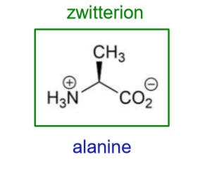 <p>What will happen to alanine at pH 13?</p>