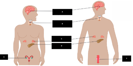 <p>Label each part.</p>