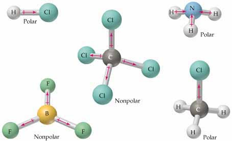 <p>certain parts of a molecule can be interchanged with others without altering it</p>