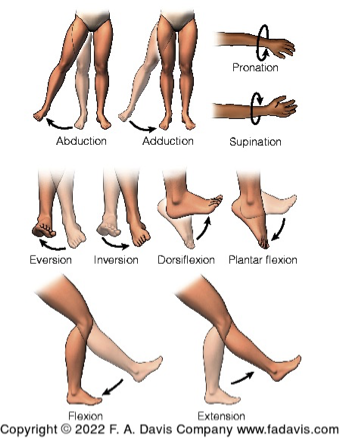 <p>Be able to describe in words</p>