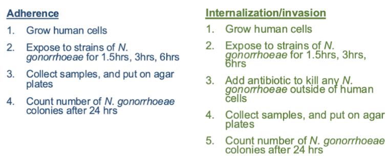 <p><span>Step 1: monitor changes in adherence and internalization</span></p>