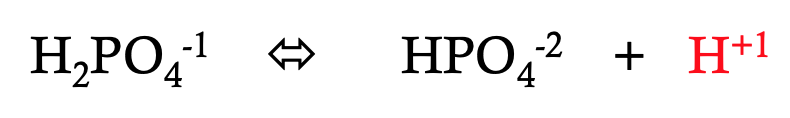 <p><span>What happens to the pH as H<sup>+</sup> is added?</span></p>