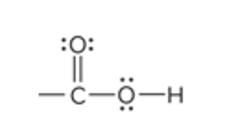 <p>COOH group (carbonyl+OH)</p>