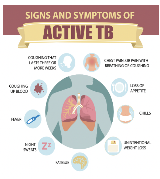<p>(also called TB disease): causes illness, usually contagious; can occur weeks or years after infection </p><p>• Coughing, can be with blood or mucus • Chest pain • Unintentional weight loss • fatigue • Fever, night sweats, chills • Loss of appetite</p><p>• Pulmonary - 85% of cases • Contagious • Persistent cough </p><p>• extra pulmonary - Kidney • Spine • Brain • Symptoms can vary according to organs involved</p>