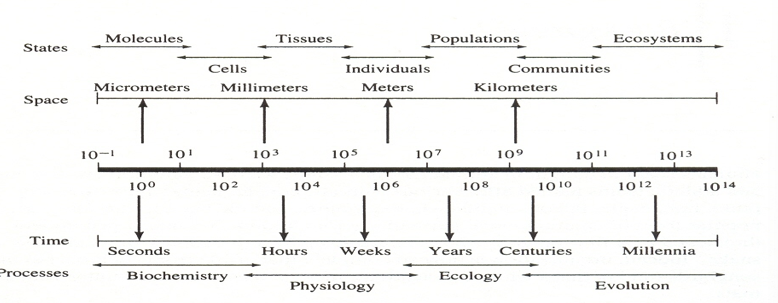 <p>What is this?</p>