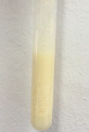 <p><strong>heavy cream hydrolysis result</strong><em> (test tube 2)</em></p>