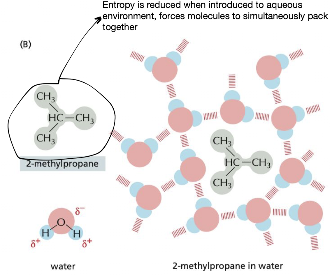 <p>because all, or almost all, of their atoms are uncharged and nonpolar and therefore cannot form energetically favorable interactions with water molecules.</p>