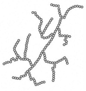 <p>chains composed of more than 100,000 α-D-glucose units joined by  α(1→4) and α(1→6) glycosidic linkages</p>