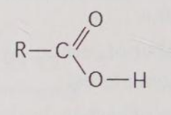 <p>What is the name of the functional group shown in Figure 4.4?</p><p>A) carbonyl </p><p>B) ketone </p><p>C) aldehyde </p><p>D) carboxyl </p><p>E) hydroxyl</p>