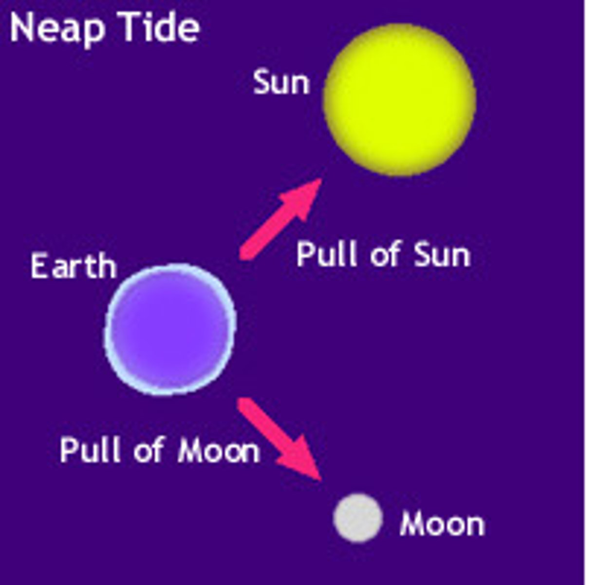 <p>A tide occurring when the sun and moon are perpendicular, causing their gravitational forces to act against each other and creating the smallest possible tidal range.</p>