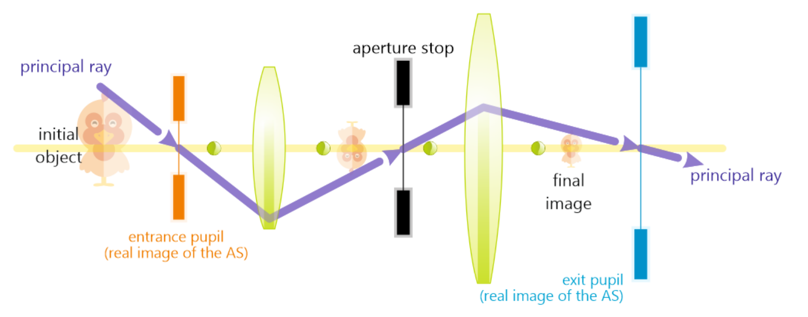 <p>Center of exit pupil</p><p>Center of entrance pupil</p>