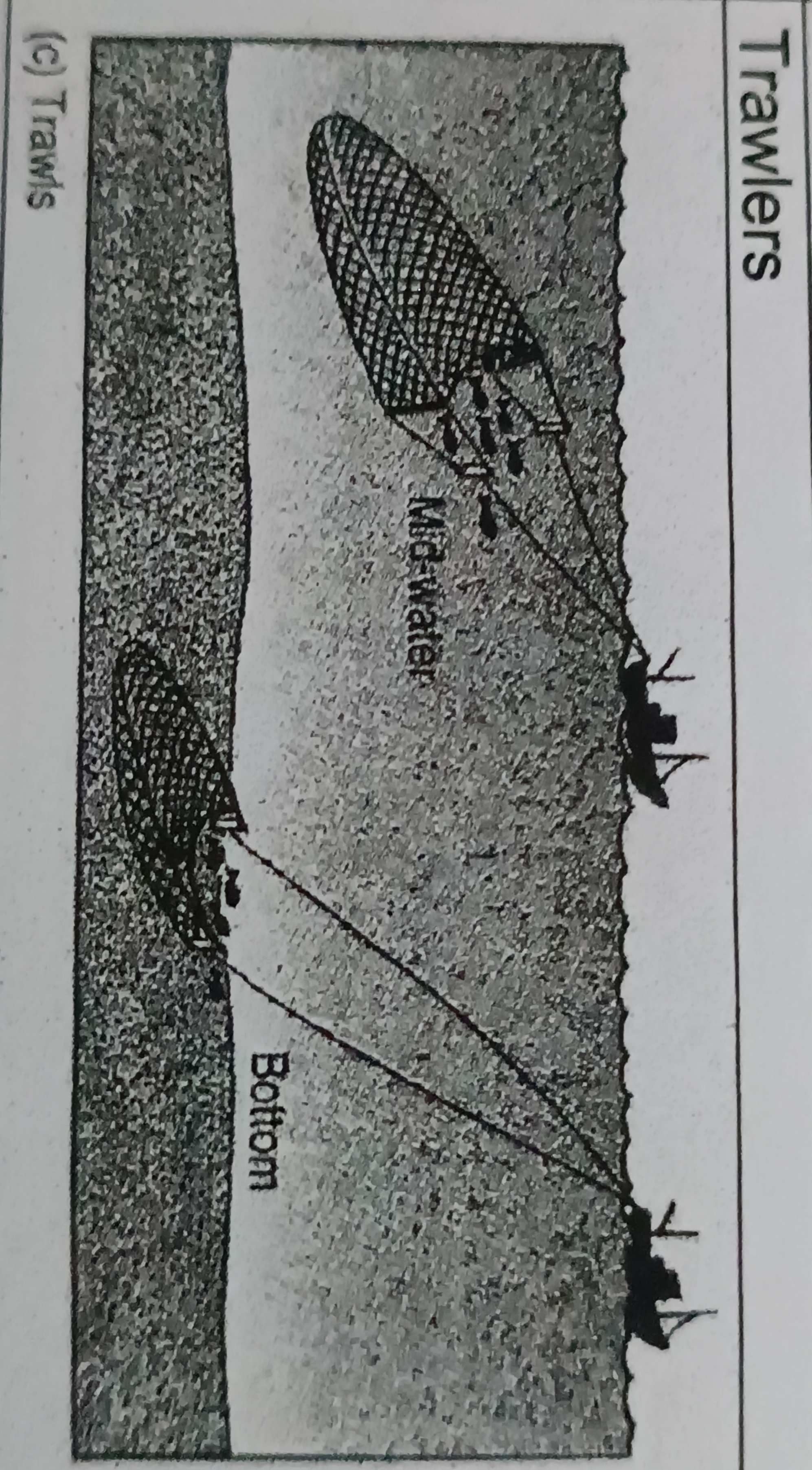 <p>Grid of bars with and opening either at the top or bottom</p><ul><li><p>grid is fitted into the neck of a shrimp trawl, small animals like shrimp slip through the bars into the bad end of the trawl</p></li><li><p>large animals, when caught at the mouth of the trawl, strike the grid bars and are ejected through the opening</p></li></ul>