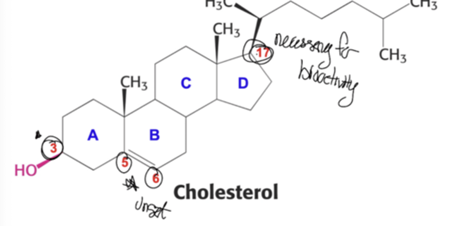 <p>Carbon 3 OH group, Carbon 5/6 alkene, and steroid nucleus</p>