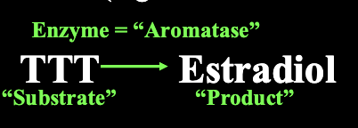 <p>1) Androgens </p><p>e.g., Testosterone (TTT) (higher levels in males)</p><p>2) Estrogens </p><p>e.g., Estradiol (higher levels in females)</p>