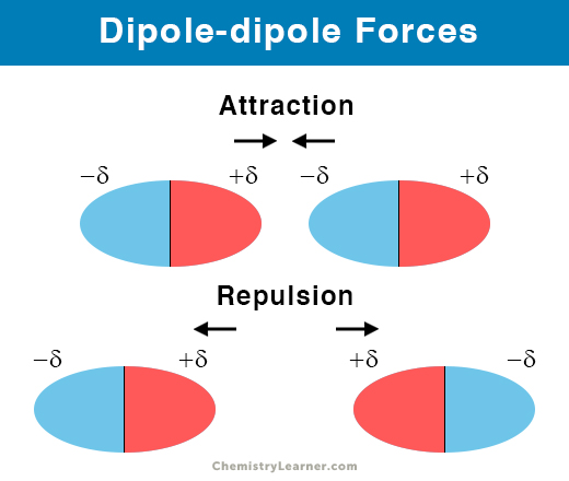 <p>force between 2 oppositely-charged ends of 2 polar molecules</p>