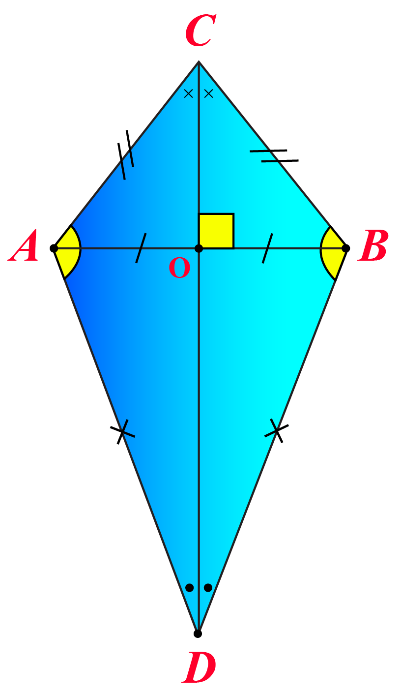 <p>A kite is a quadrilateral with exactly two pairs of consecutive congruent sides.</p>