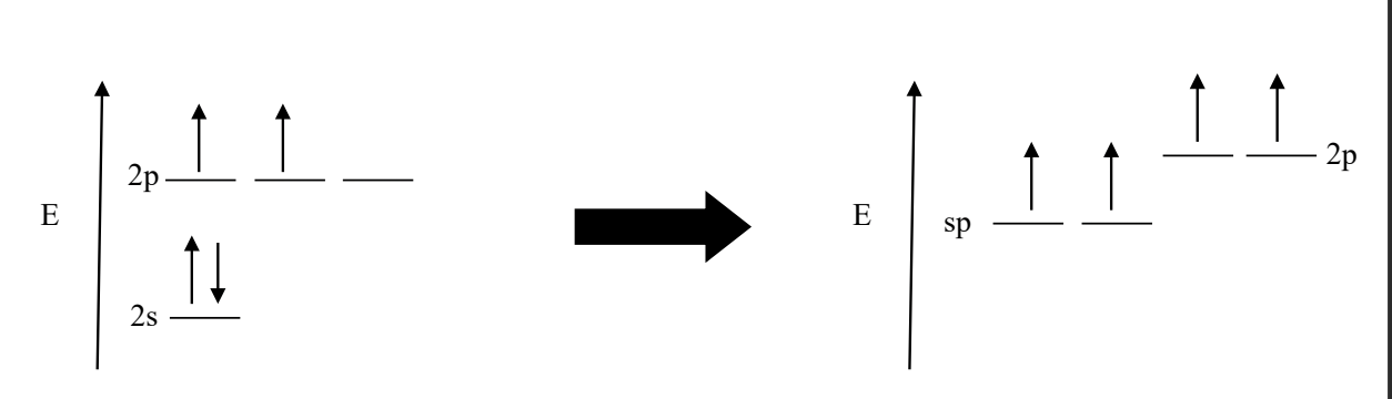 <p>An sp hybrid orbital results from the mixing of one s orbital and one p orbital. This hybridization typically occurs in molecules with triple bonds or in molecules with a linear geometry. (You’ll have TWO sp orbitals and then TWO 2p orbs (on a slightly higher E level)</p>