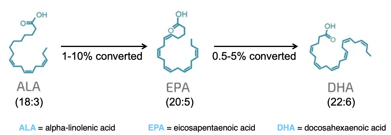 <p>Humans have enzymes to convert PUFAs within a family </p><p></p>