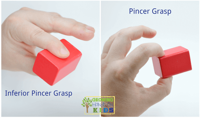 <p>When does a child have an inferior pincer grasp and starts picking up small objects? </p>