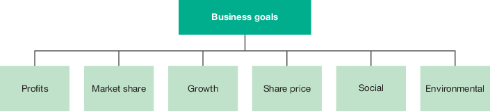 <ul><li><p>profits, market share, growth, share price, social, environmental</p><p></p></li></ul><p></p>