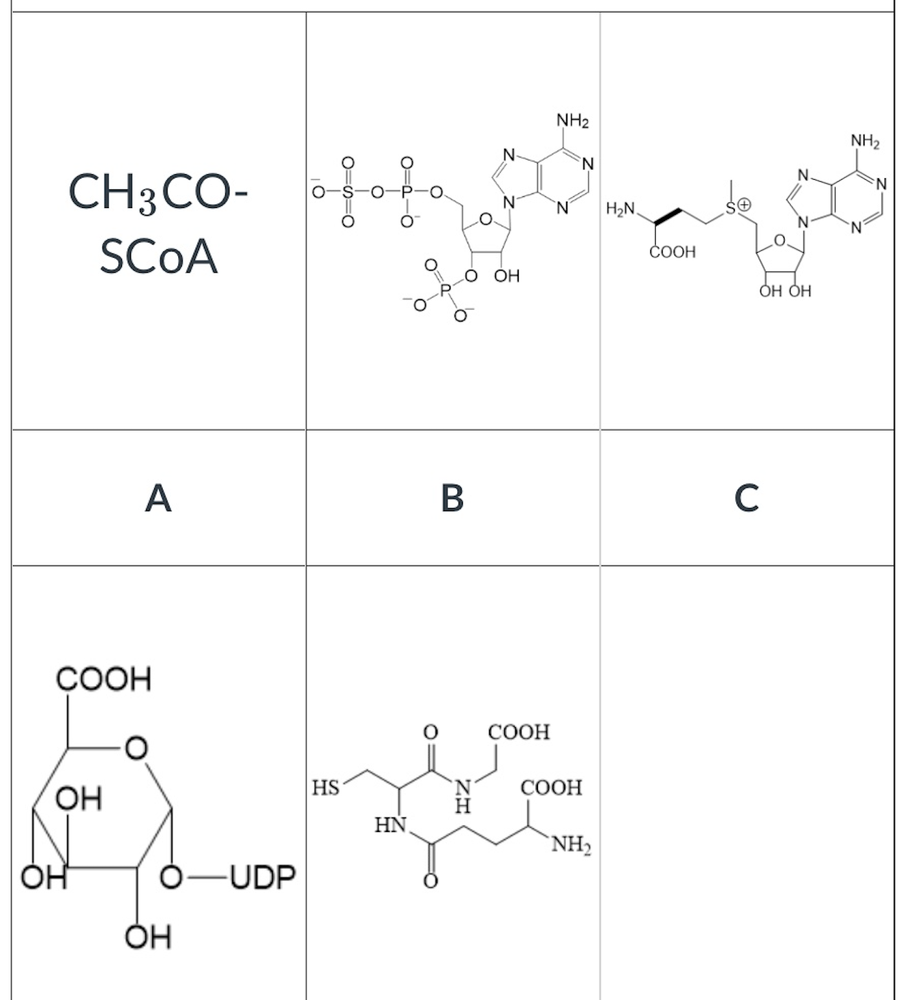 <p>which of the following is the cosubstrate of COMT? </p>