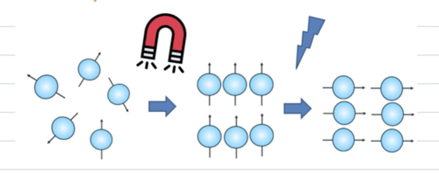 <p>strong magnets line up the hydrogen atoms in the animal's body, and then we send radiofrequency waves and deactivate the magnet to release the energy from the atoms. this energy creates the image</p>