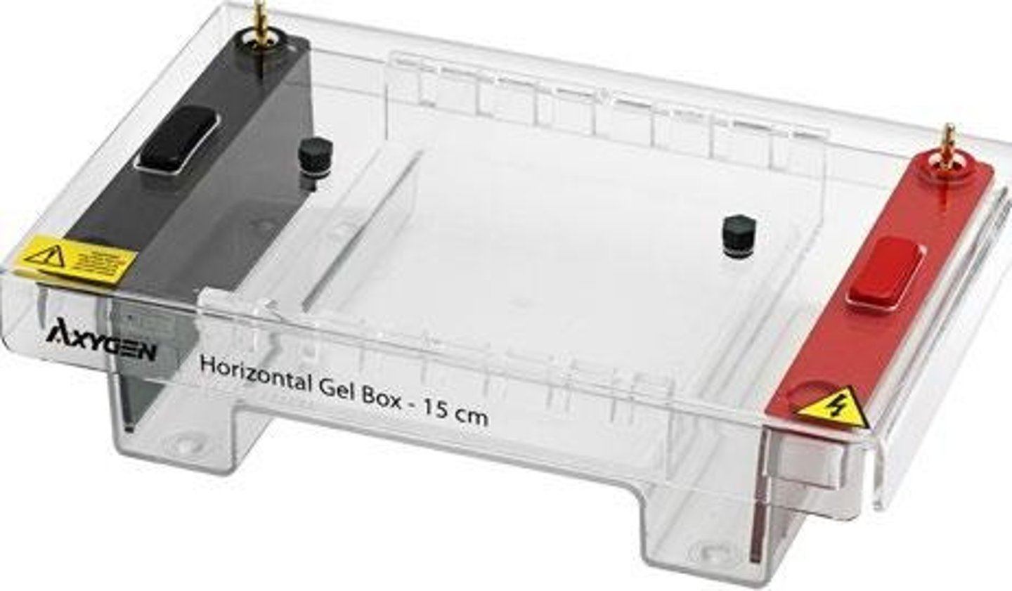 <p>A technique using a gel matrix made of agarose to separate DNA.</p>