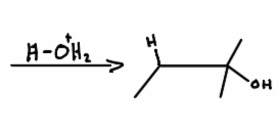 <p>In the following Portion of a Reaction Mechanism what is missing?</p>