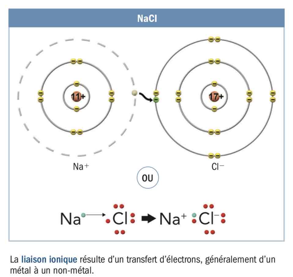 <p>non metal et metal</p>