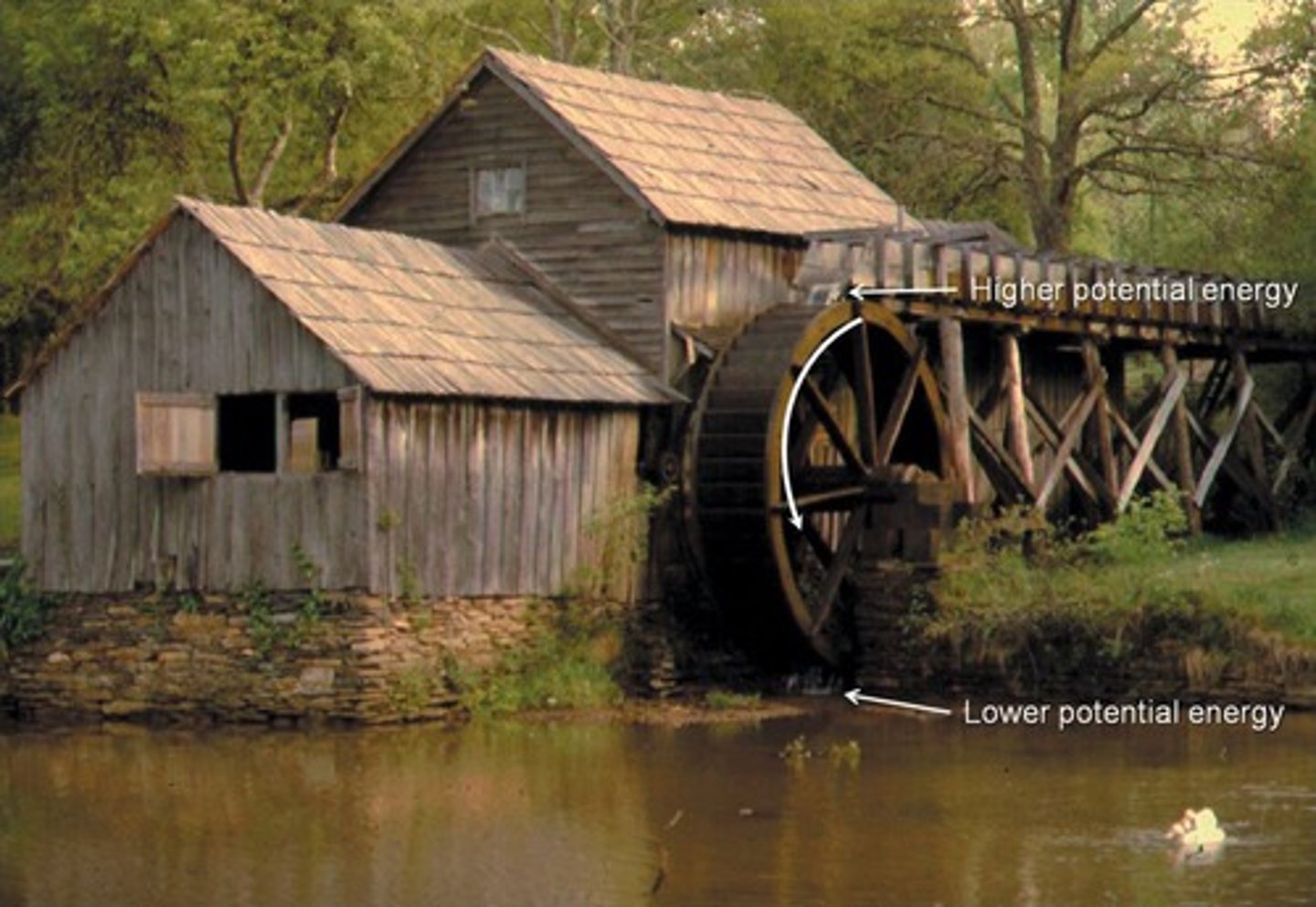 <p>Water moves from high potential energy to low potential energy.</p>