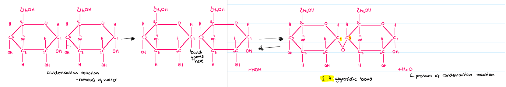 <p>Condensation reaction</p>