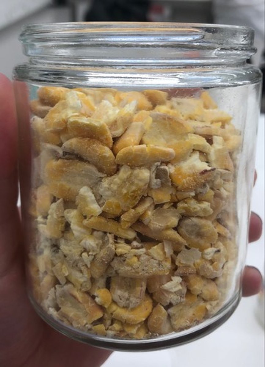 <p>- IFN #/Category (4) high energy concentrate</p><p>- AAFCO Category - grain product</p><p>- Feed Type - general</p>