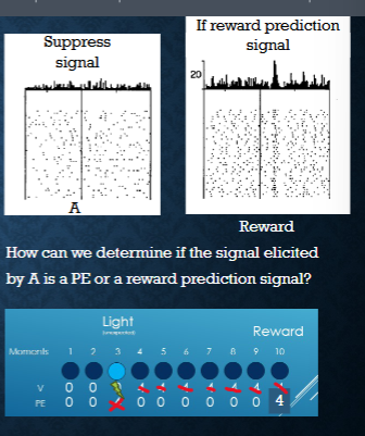 <p><span>If we think the signal is reward value for prediction</span><span><br></span><span>then we prevent V from forming.</span><span><br></span><span>Since no V is present, when the reward is delivered, we get</span><span><br></span><span>a positive PE at the time of reward (RPE).</span><span><br></span><span>This leads to the tone entering into an association and we get</span><span><br></span><span>learning</span><span><br></span></p><p>some say value signal is at the time of the cue, dope neurons doing TDLR agorithm, value signals are needed for learning but the cut itself is not the value signal.&nbsp;</p>