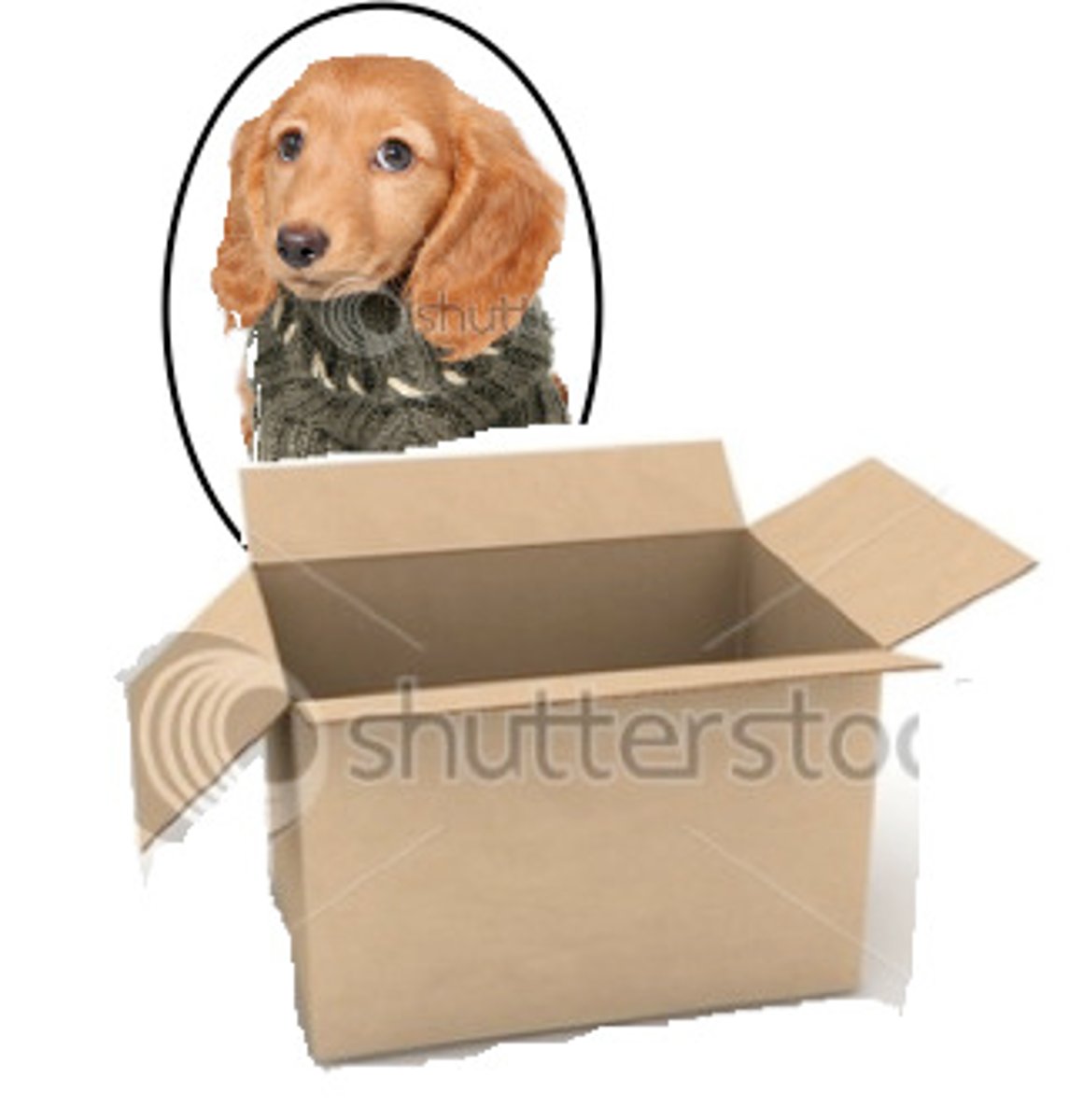 <p>The dog is behind the box.</p>