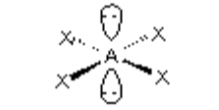 <p>What is the molecular shape? AX<sub>4</sub>E<sub>2</sub></p>