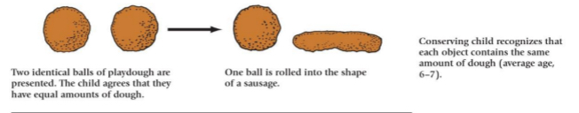 <ul><li><p>Two identical balls of playdough are presented. The child agrees that they have equal amounts of dough.</p></li><li><p>One ball is rolled into the shape of a sausage.</p></li><li><p>Conserving child recognizes that each object contains the same amount of dough (average age, 6-7).</p></li></ul><p></p>